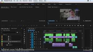 کورس Premiere Pro CC  رفع صدا...