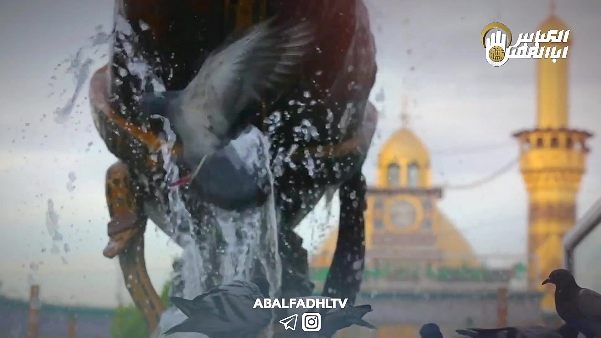 کلیپ بسیار زیبا در مدح حضرت قم...