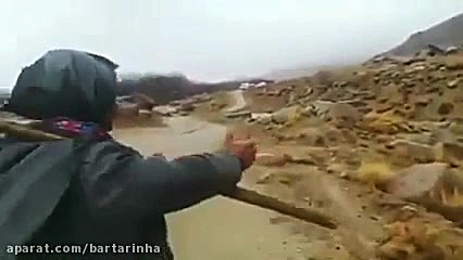 اشک شوق پیرمرد یزدی از بارش با...