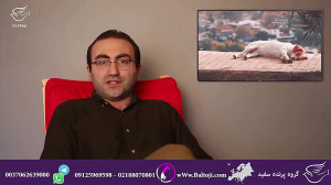 شرایط ویژه برای دریافت پاسپورت...