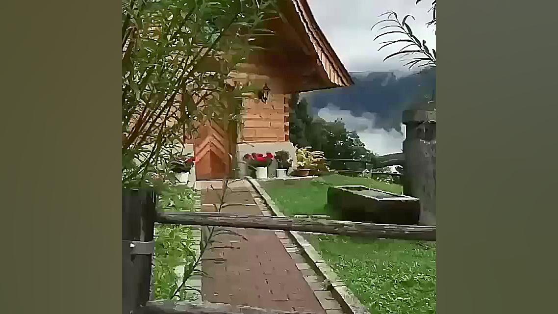 گروه سالم بمان بامن