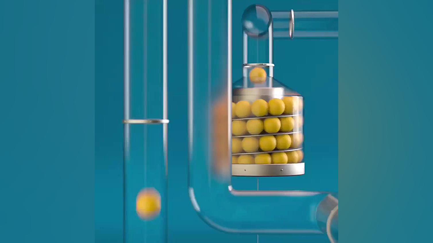 دانشگاه های مورد تایید وزارت ب...