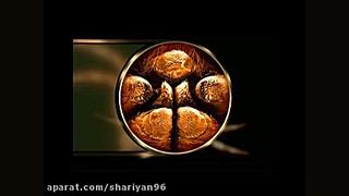 ساختار تار عنکبوت