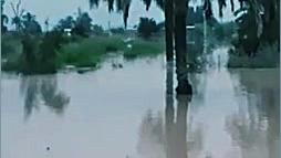 سیل بند روستای بیت غایب در بخش...