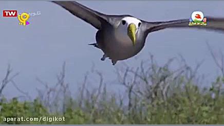 خدا چه آفریده؟ خوردنیهای خوشمز...