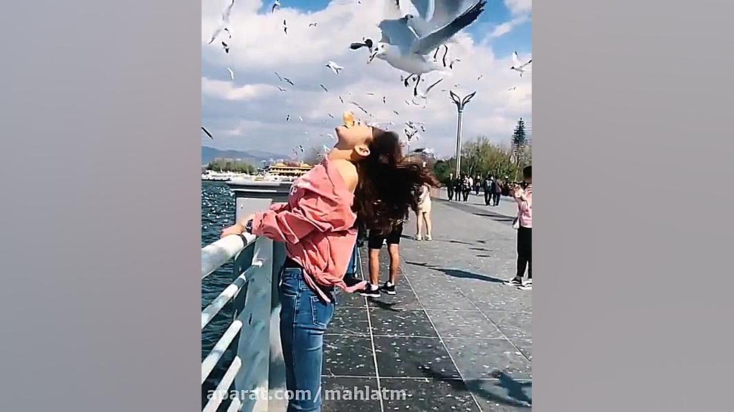 كلیپ بسیار جالب و زیبا