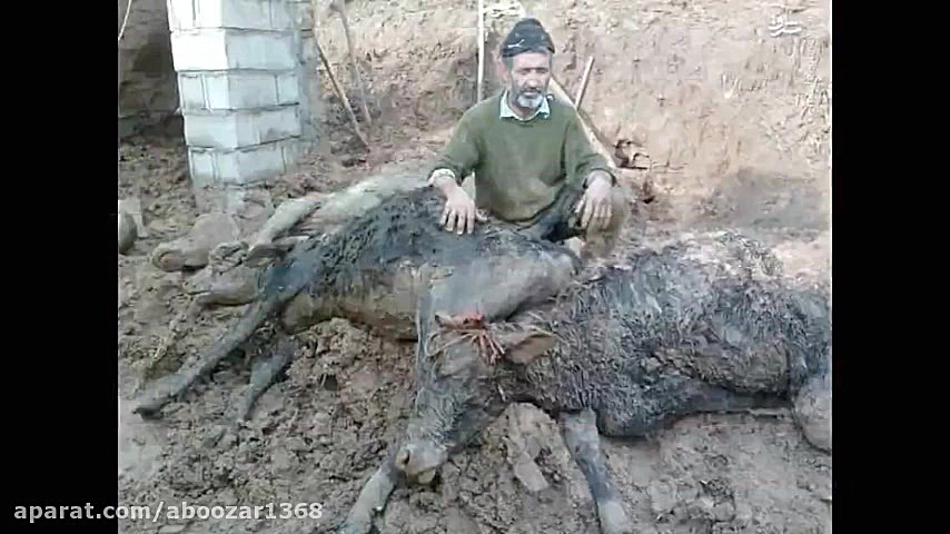 سیل لرستان پلدختر