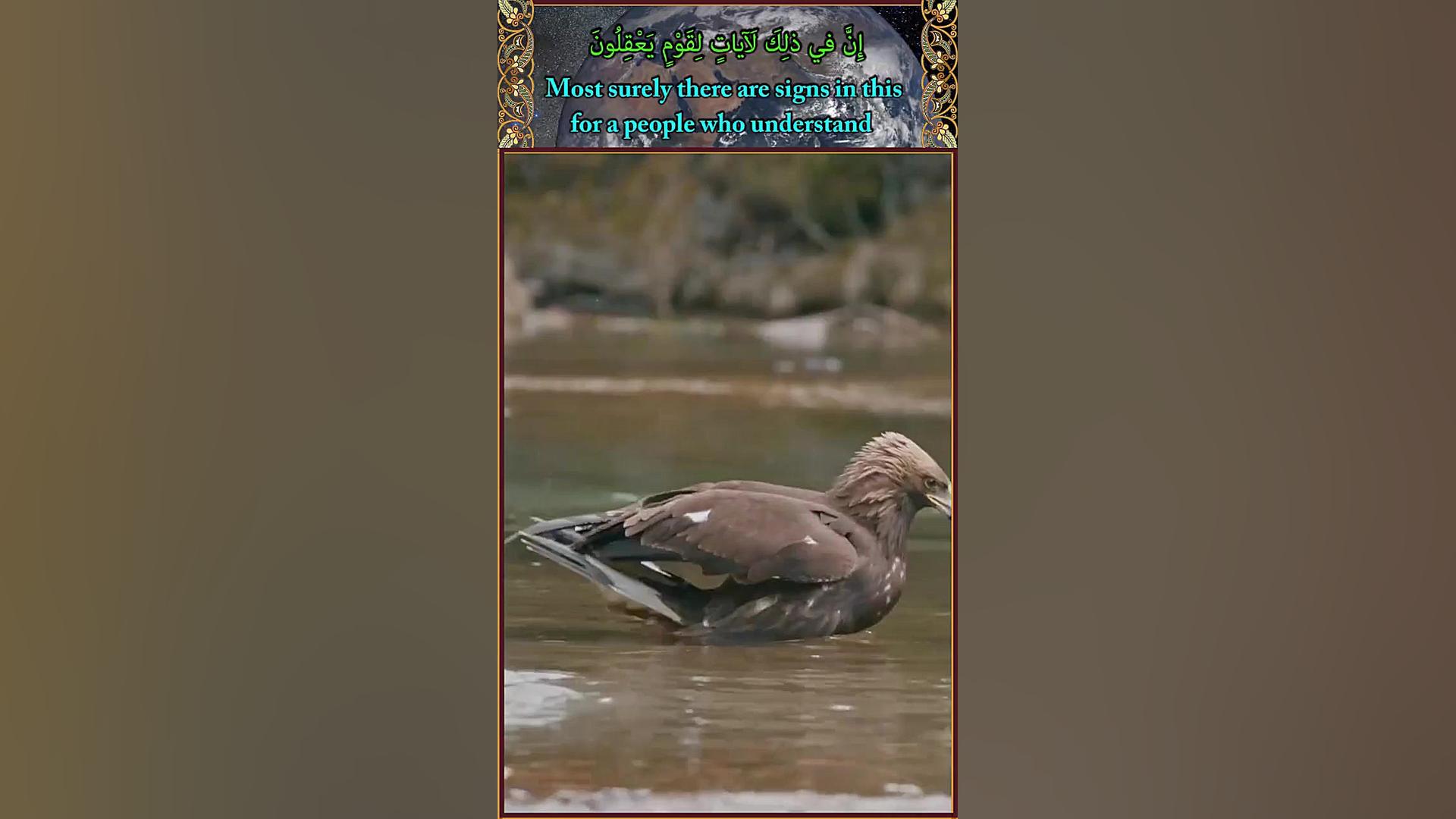 فیلم تبلیغاتی خدا در قرآن  God...