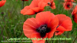 تقلید آهنگ معین  عاشق که بشی (...