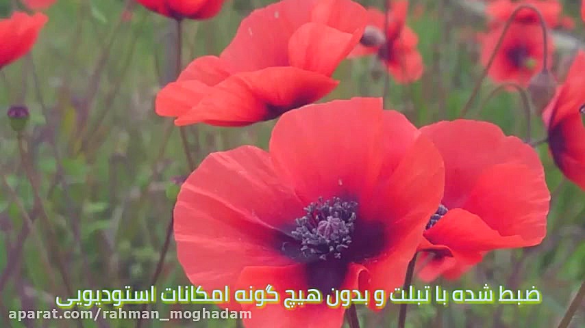 تقلید آهنگ به یاد سوسن  تقدیم...