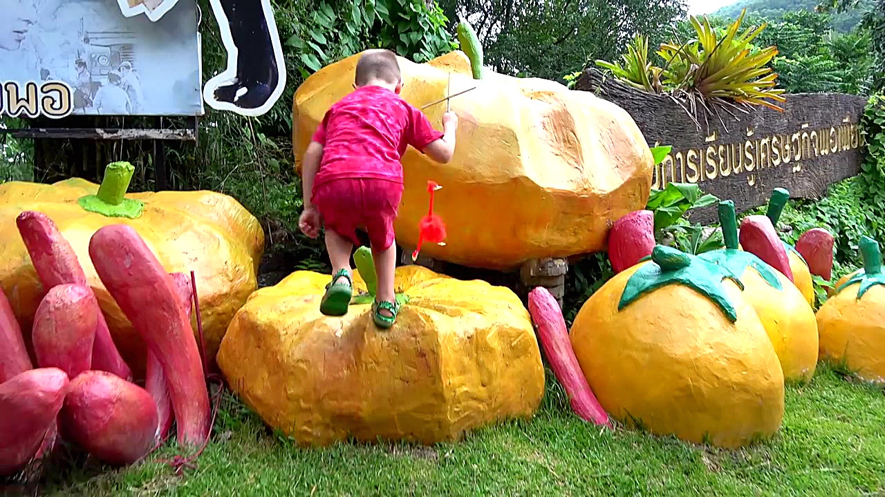 دیانا به حیوانات باغ وحش غذا م...