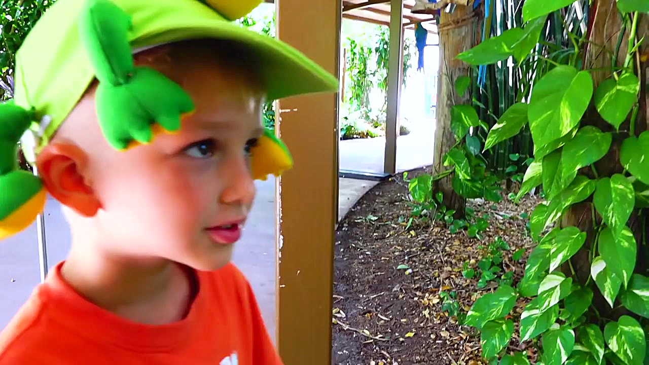 برنامه کودک: ولاد و نیکیتا به...