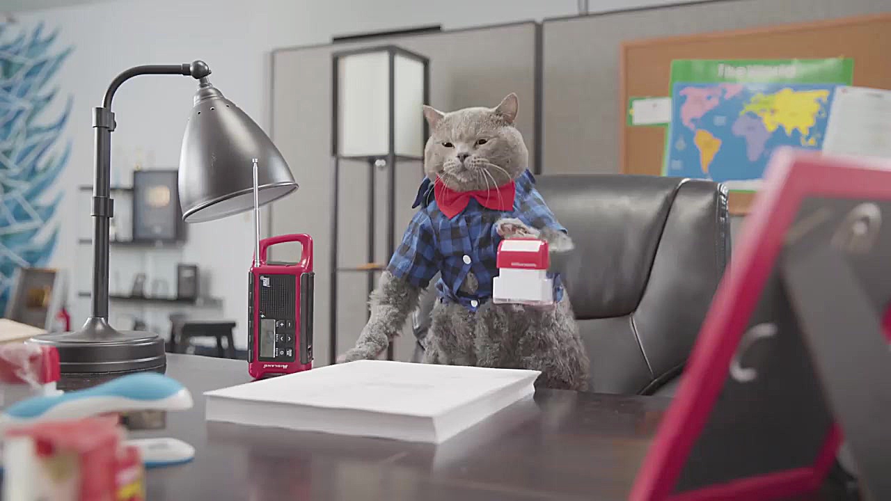 برنامه کودک: پرنس چارلز به ادا...