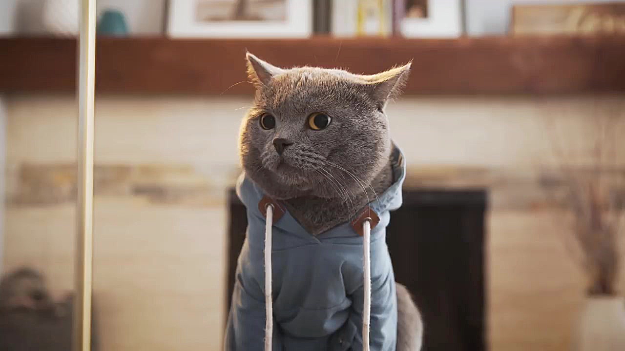 برنامه کودک پرنس چارلز : سر به...