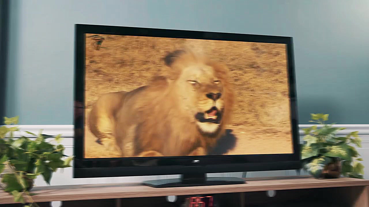 برنامه کودک پرنس چارلز : اگه م...