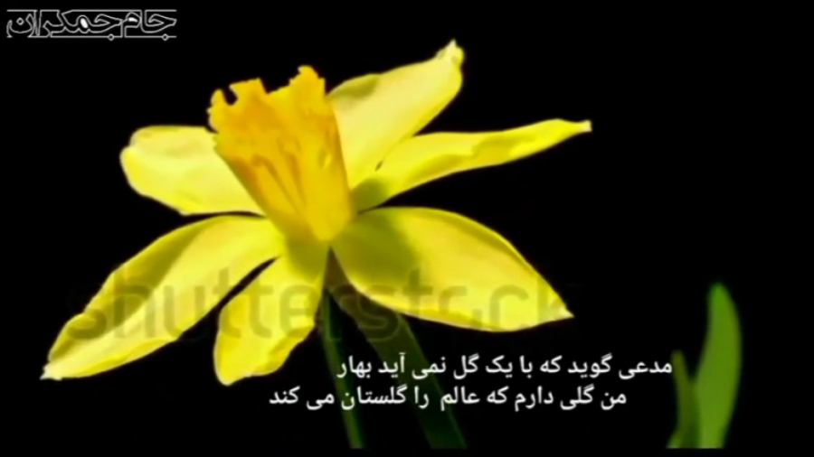 کلیپ تبریک نیمه شعبان و میلاد...