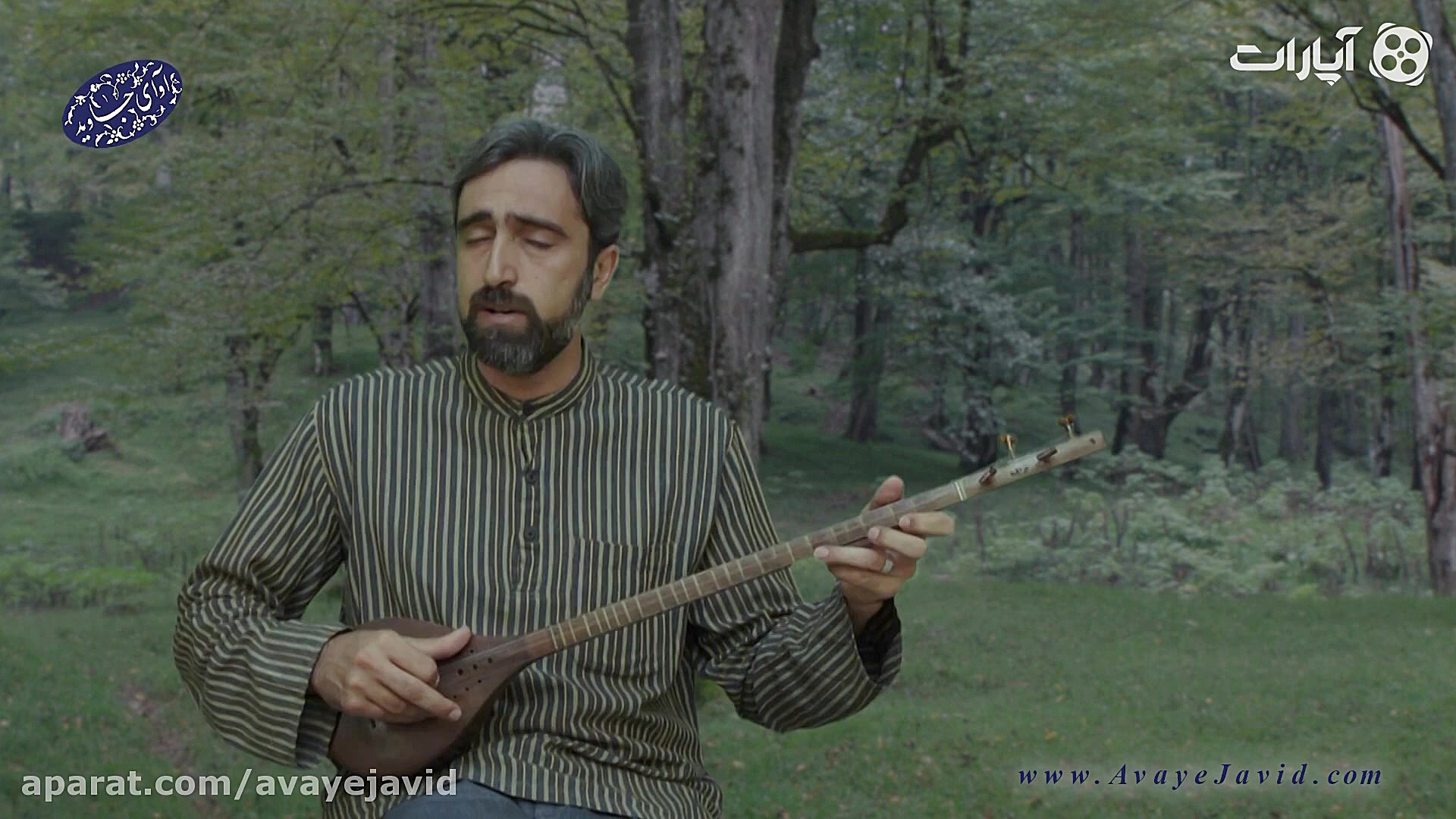 زبان عاشقی در موسیقی با تصنیف...