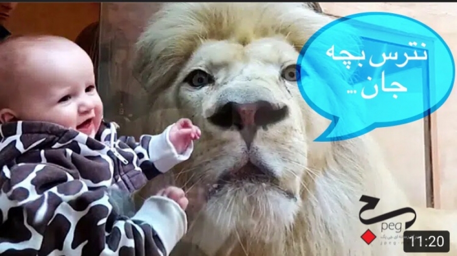 حیوانات وحشی هم خنده دارن ؟!!!