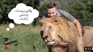 دوستام عین شیر پشت منن یعنی هم...