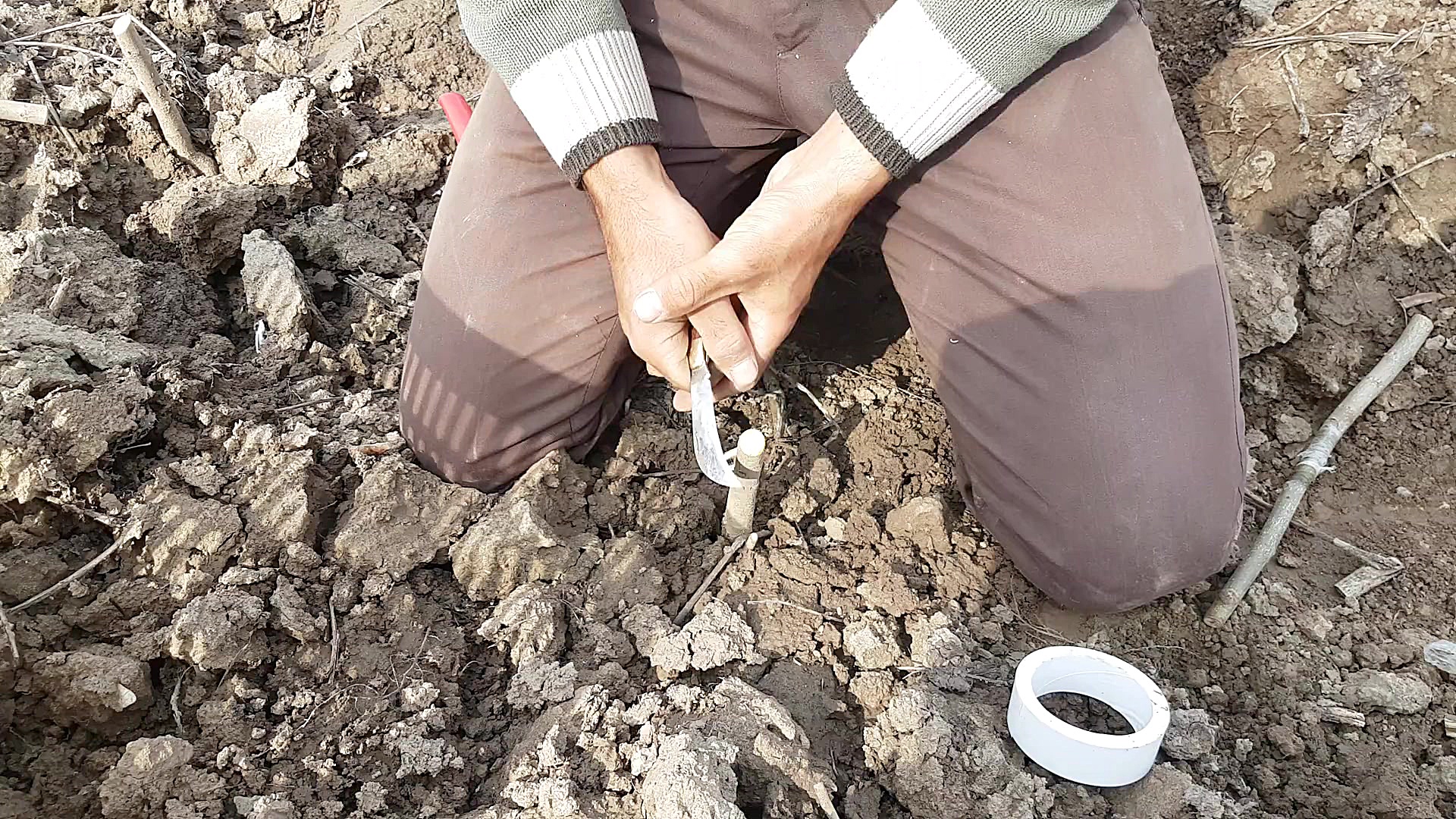 پیوند نیمانیم زبانه دار ارسالی...