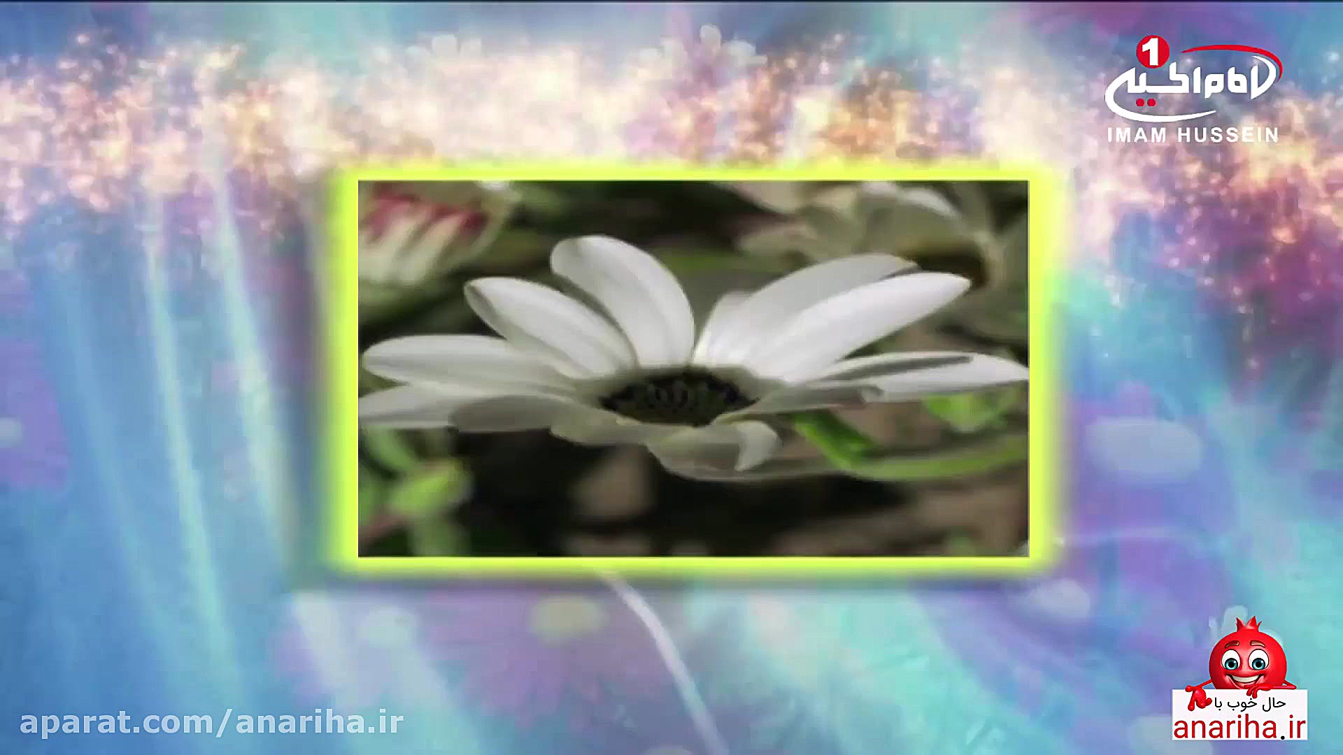 سرود مولودی عربی امام حسین(ع)...