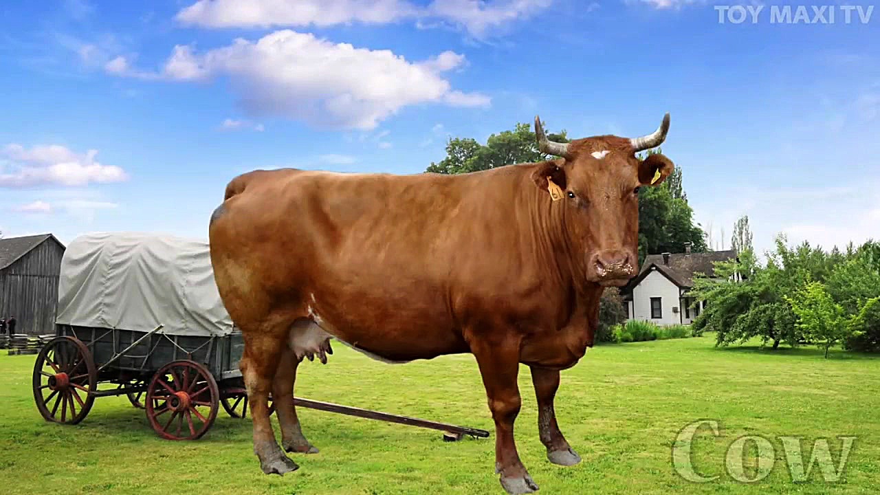 اموزش زبان انگلیسی برای کودکان...