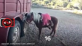 کار جالب و خنده دار دختر کوچول...