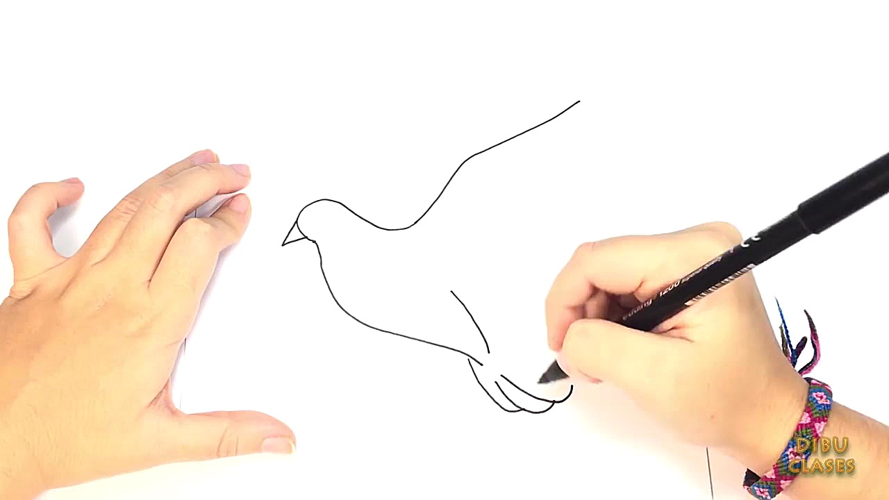 C&oacute;mo dibujar una Paloma...