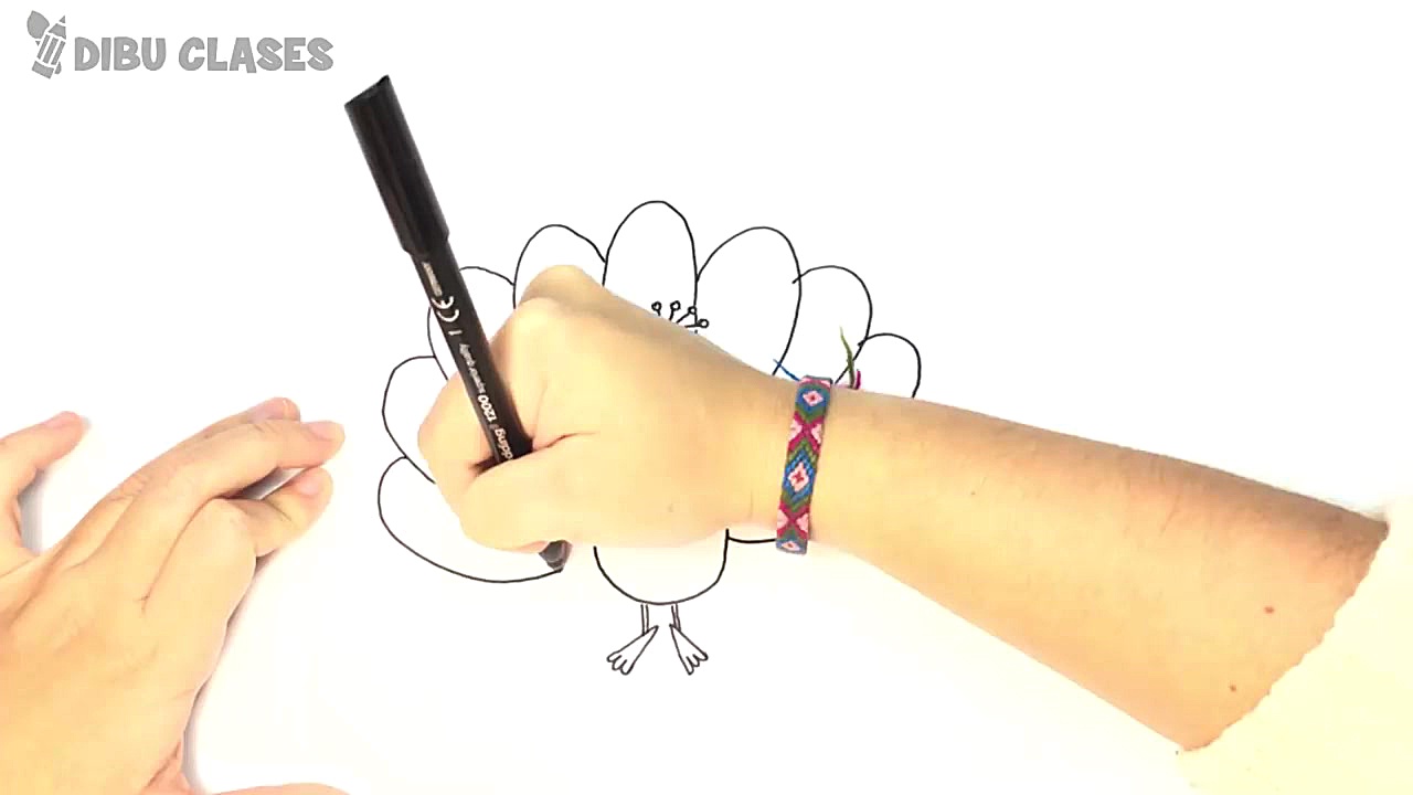 C&oacute;mo dibujar un Pavo Re...