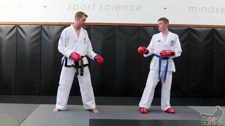Taekwondo Side Kick Counters (How to Defend and Counter) Van Roon