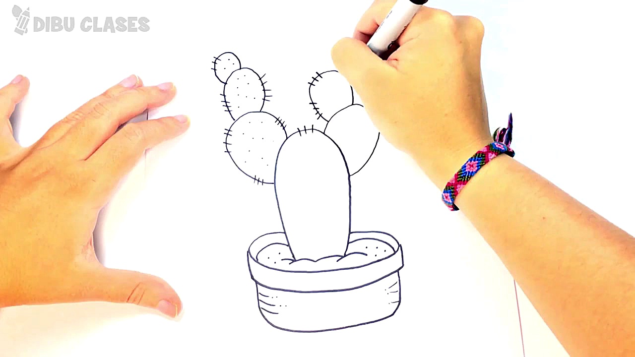 C&oacute;mo dibujar un Cactus...