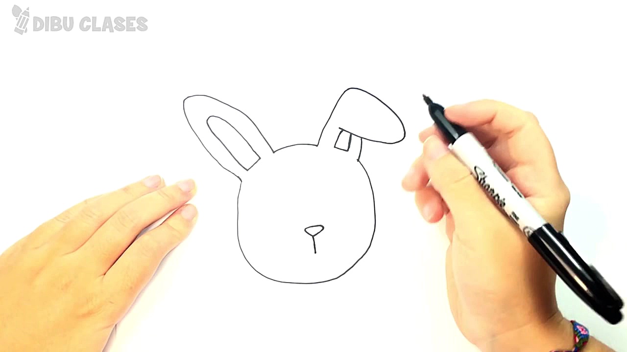 C&oacute;mo dibujar un Conejo...