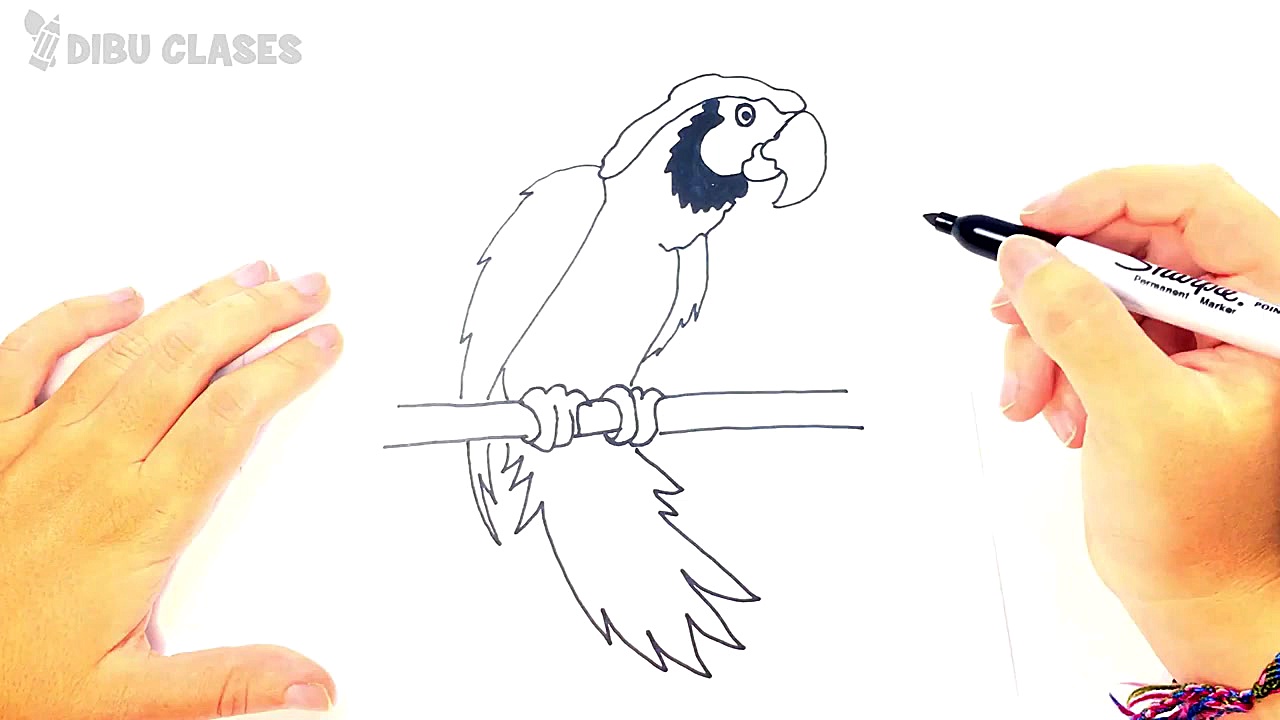 C&oacute;mo dibujar una Cacat&...