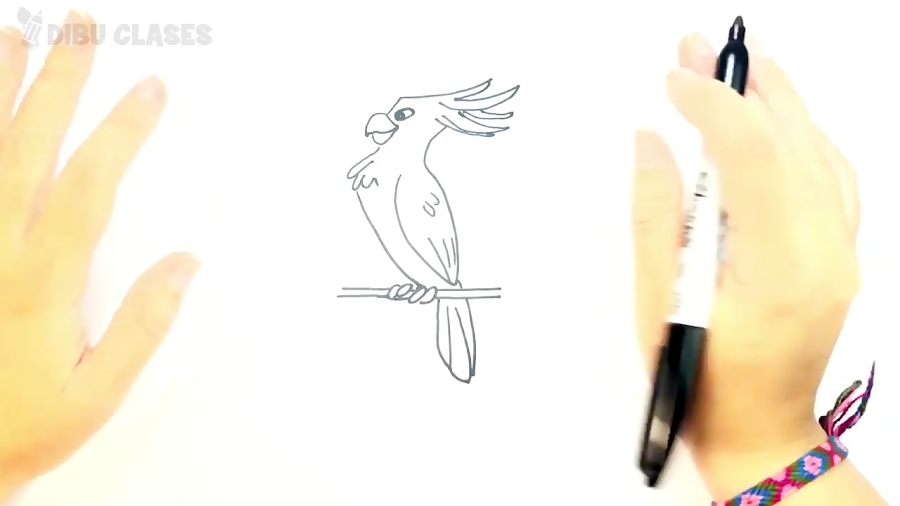 C&oacute;mo dibujar una Cacat&...