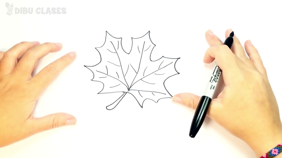 C&oacute;mo dibujar una Hoja d...