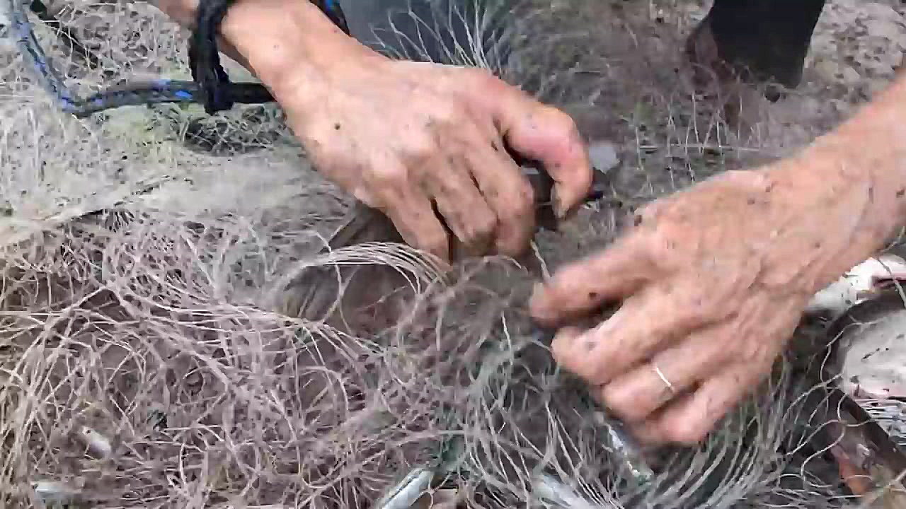 Believe This Cast Net Fishing?...