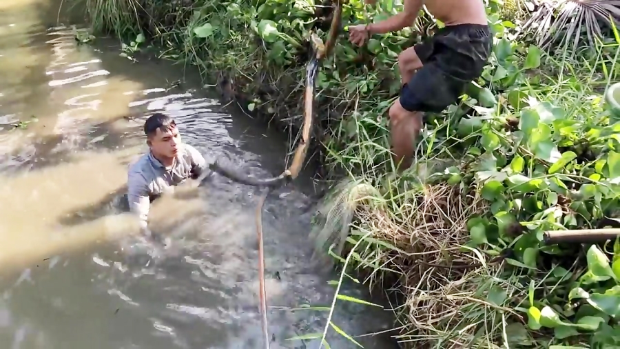 Amazing Big Cast Net Fishing - Traditional Net Catch Fishing in The River 