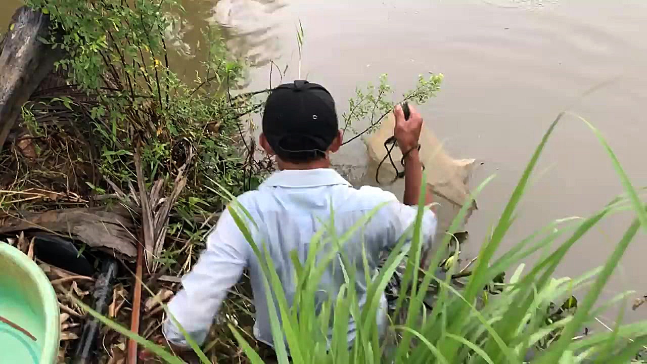 Unbelievable Cast Net Fishing...