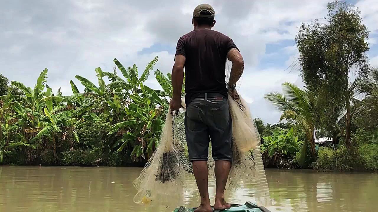 Unbelievable Cast Net Fishing...