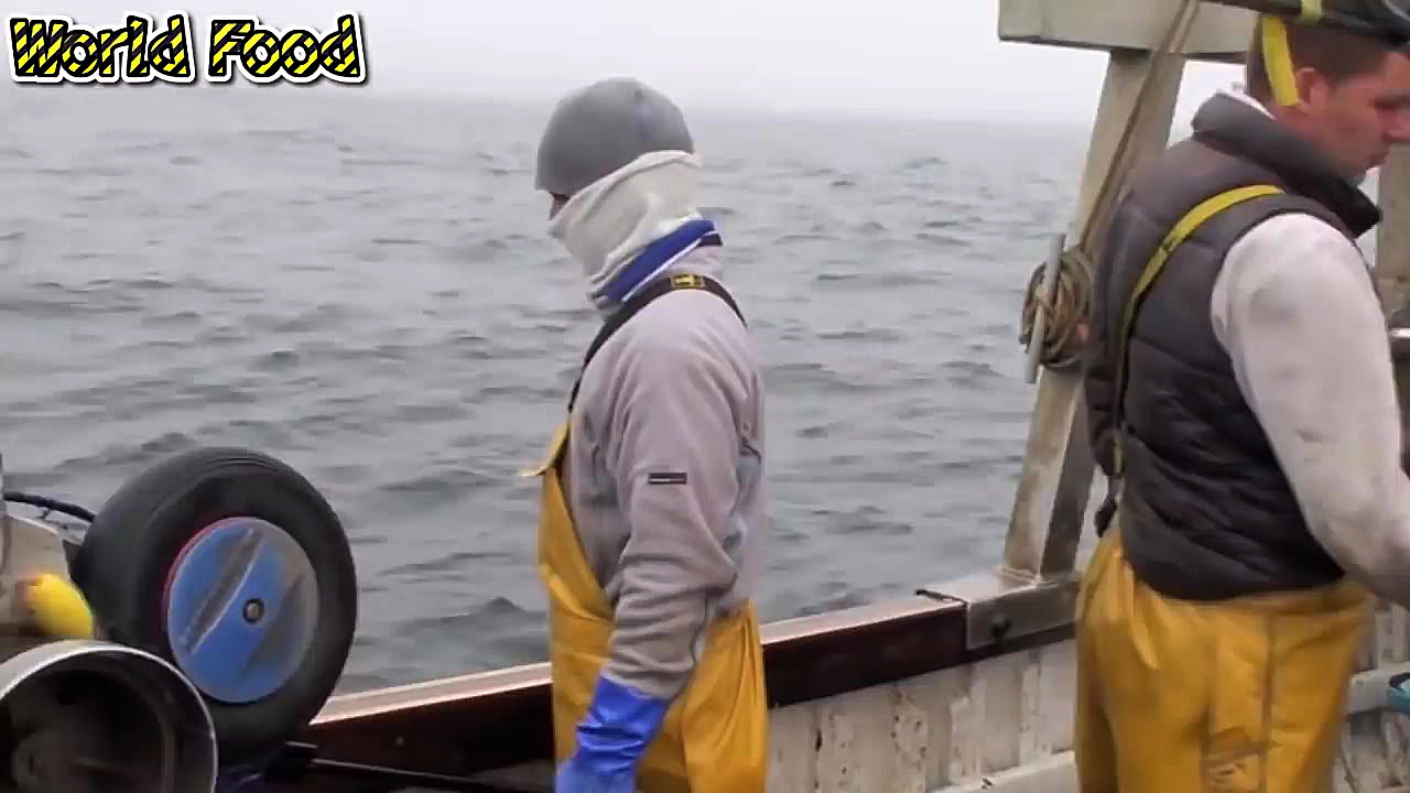 Best Cast Net Fishing Video Th...