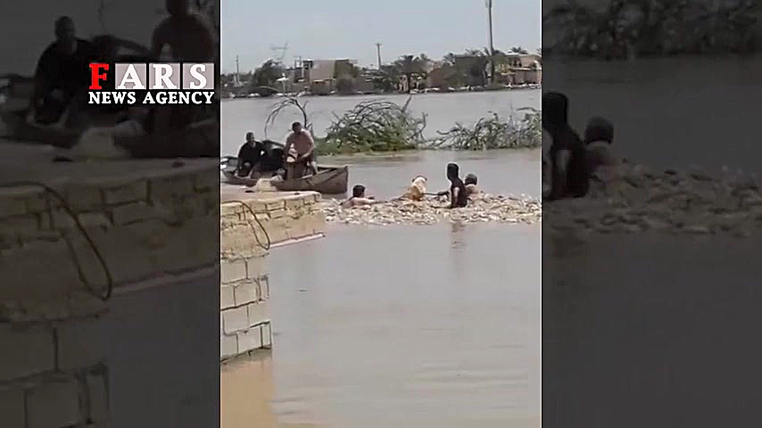 نجات سگ گرفتار در سیل پس از 3...
