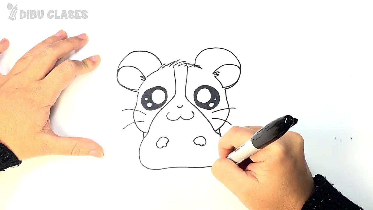 Como dibujar un Hamster Kawaii...