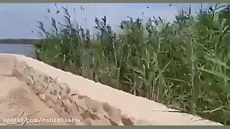 خبرگزاری تسنیم گزارشی خلاف واق...