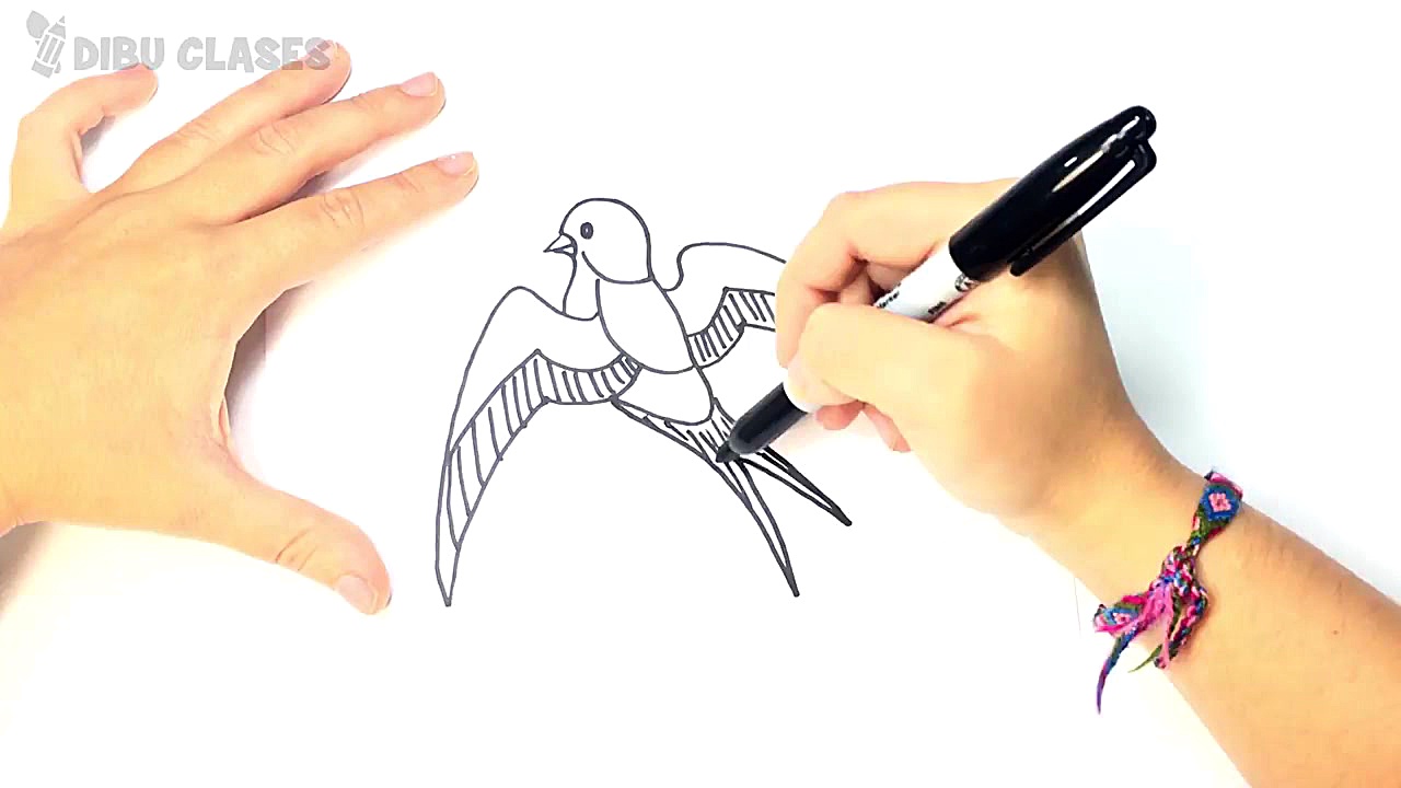 Como dibujar un Golondrina pas...