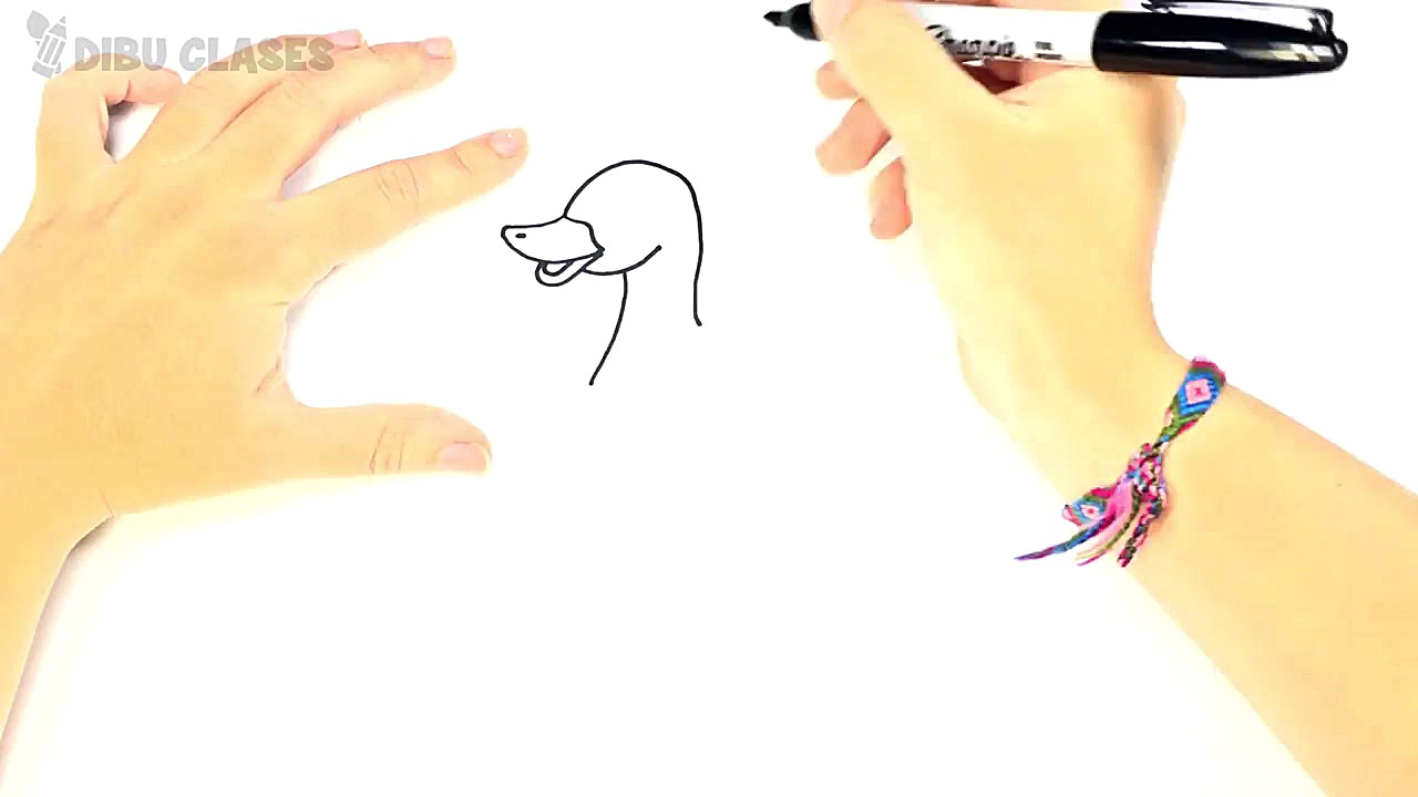 Como dibujar un Patito paso a...