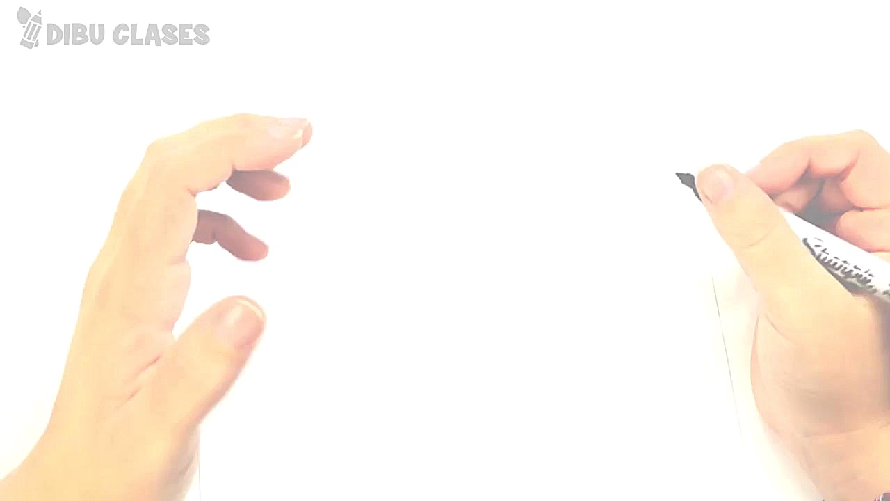 Como dibujar una Nutria | Dibu...