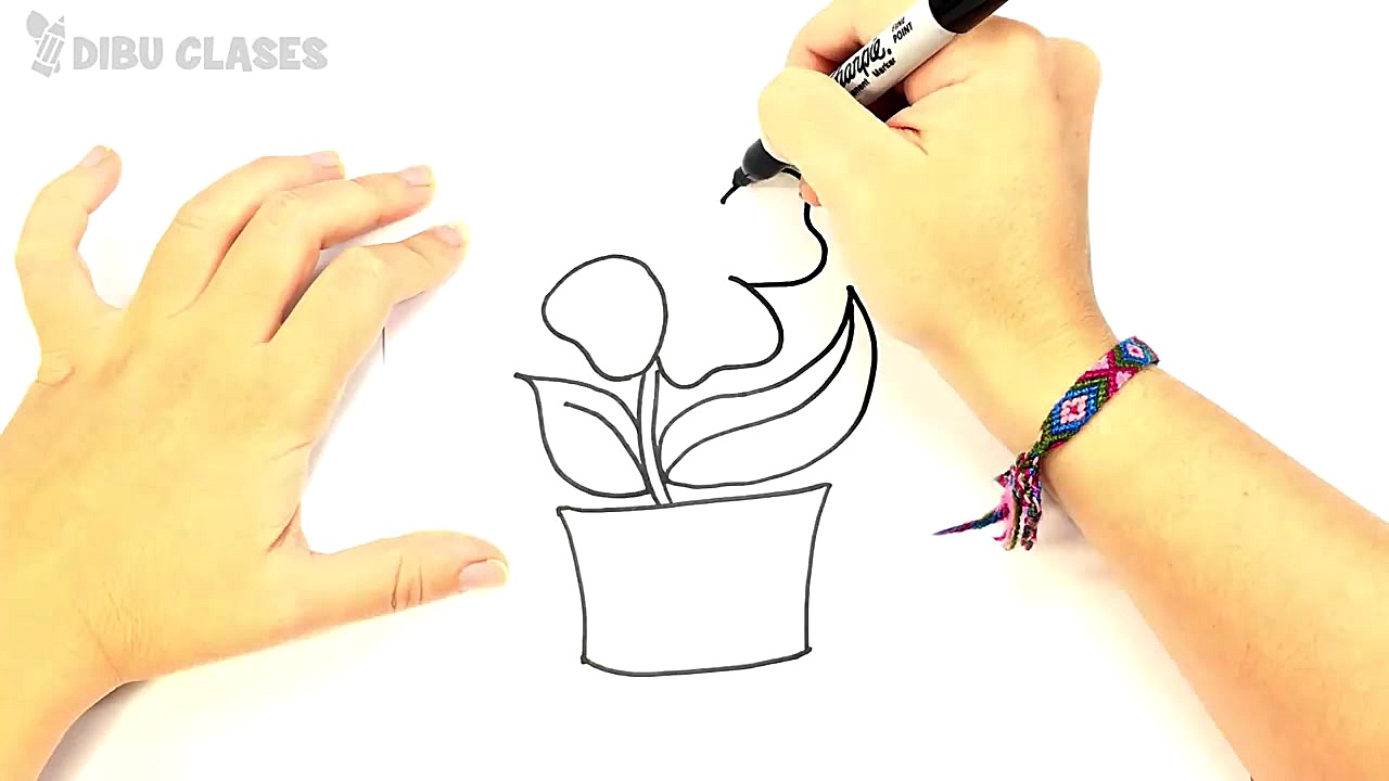 Como dibujar una Planta paso a...