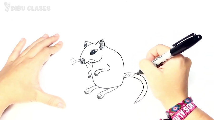 Como dibujar un Jerbo paso a p...