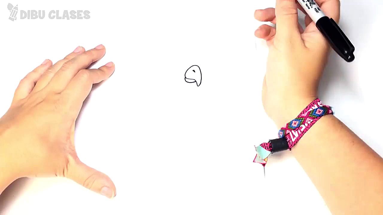 Como dibujar un Loro paso a pa...