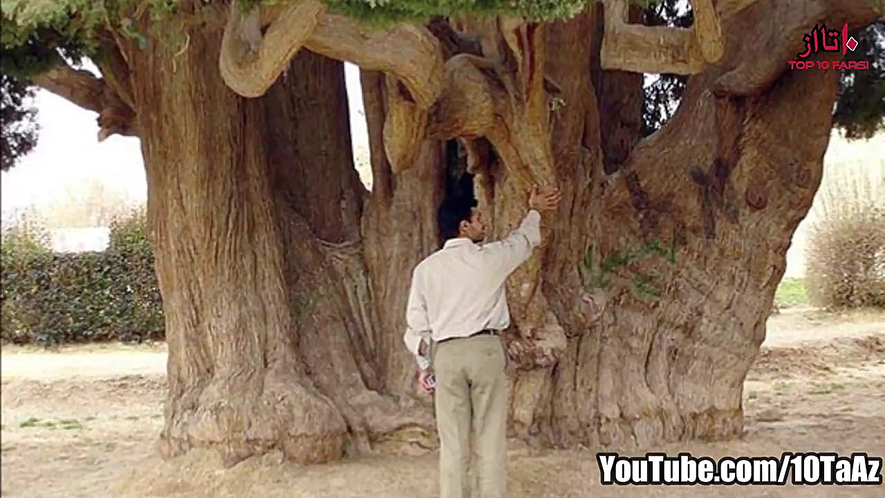 آیا می دانستید؟ دانستنی ها  قس...